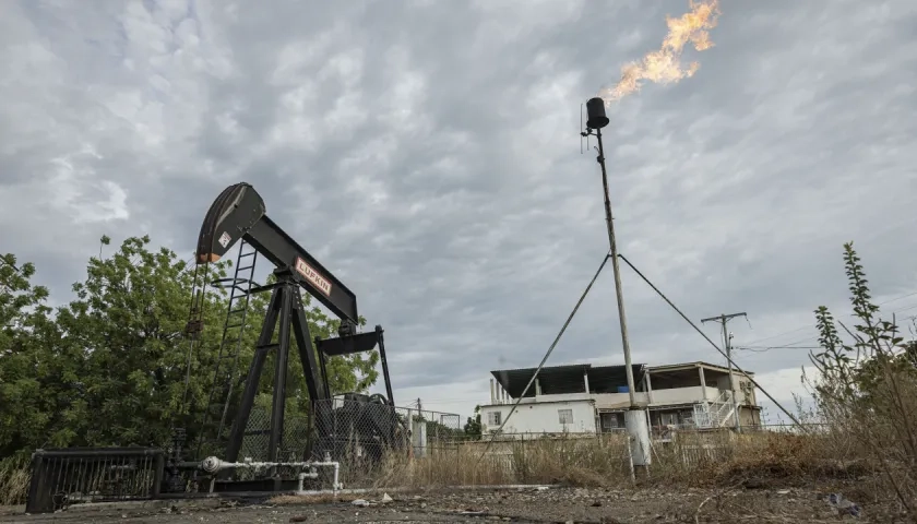 Imagen de referencia.