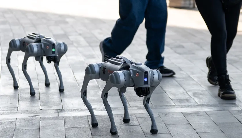 Dos de los perros robots que serán utilizados durante el próximo Mundial.