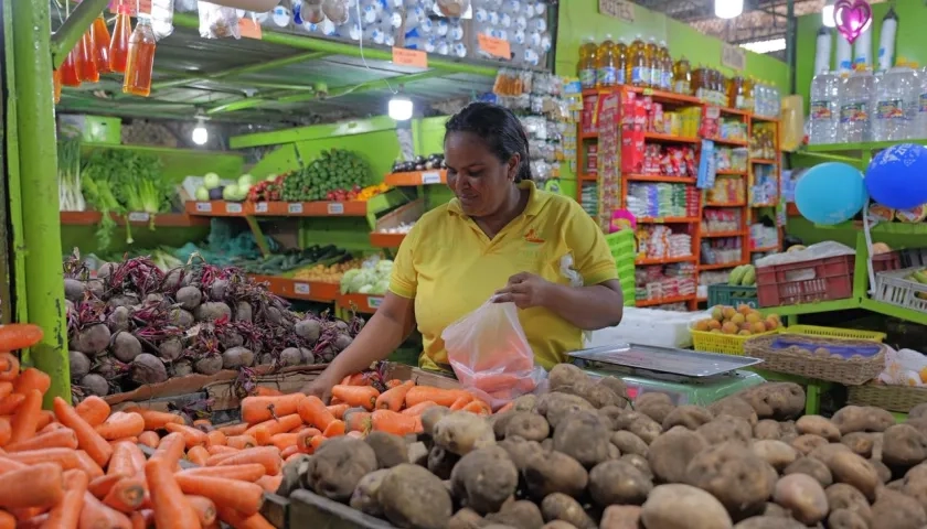 Compradora en Granabastos. 
