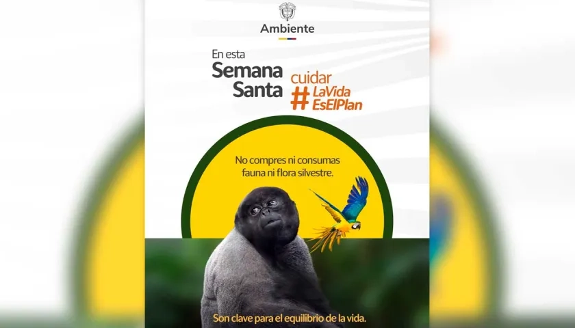 Imagen del Ministerio de Ambiente.