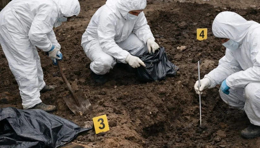 Imagen de referencia. 