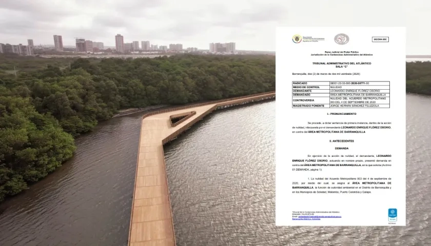 Fallo que declara la nulidad a Área Metropolitana como autoridad ambiental. 