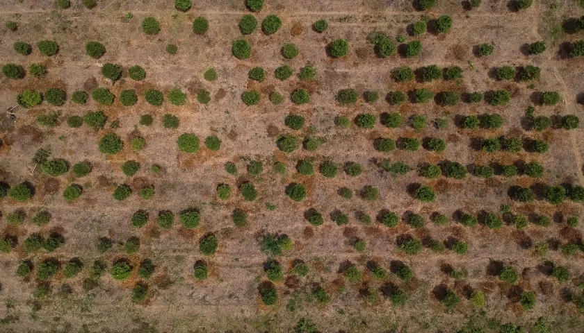 Foto con efectos del fenómeno de El Niño.