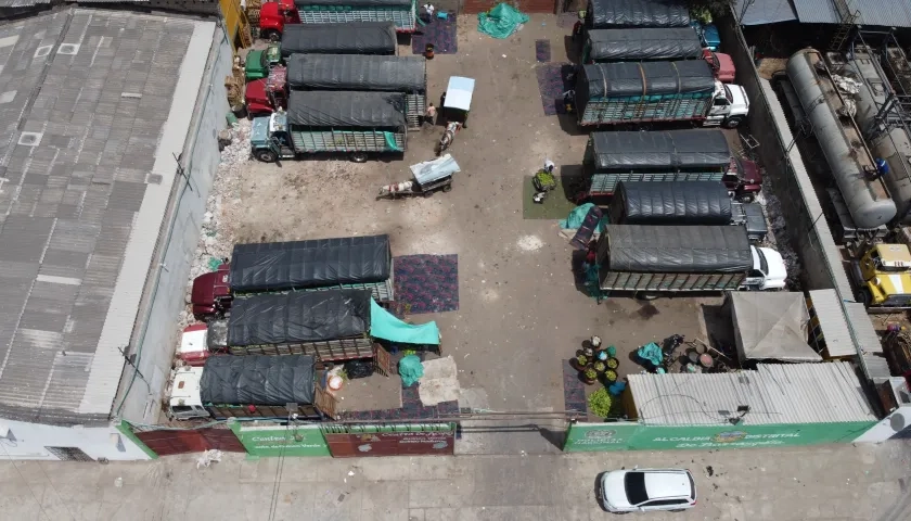 El pequeño parqueadero que tienen los mayoristas de guineo para distribuirlo y venderlo. 