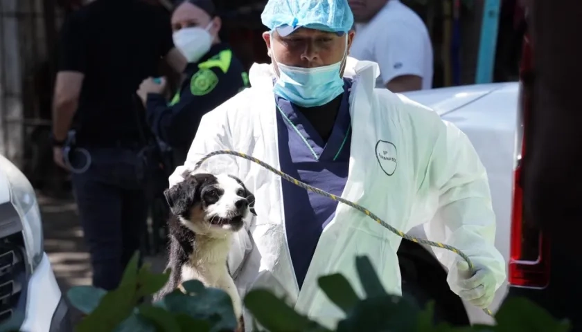 Imagen del operativo.