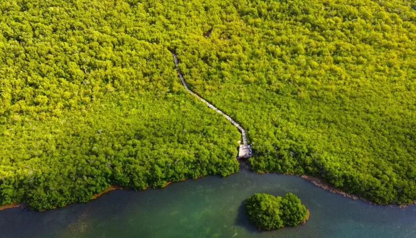 Zona verde de San Andrés atendida por Coralina