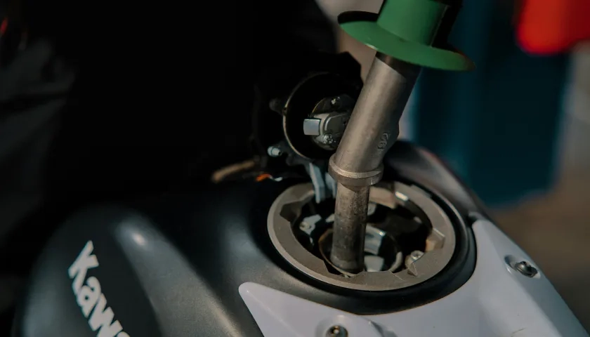 Imagen de referencia. 