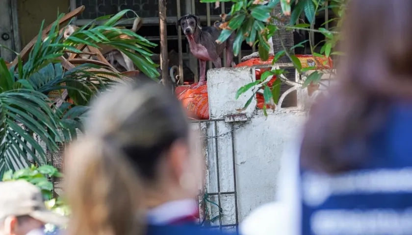 Operativo de las autoridades en casa del norte.