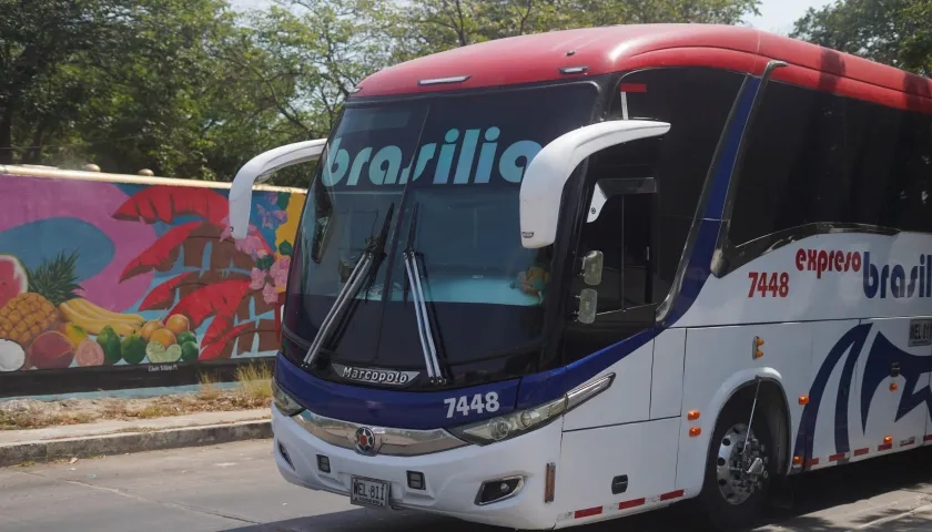 Buses que prestan sus servicios en la Terminal de Transporte. 