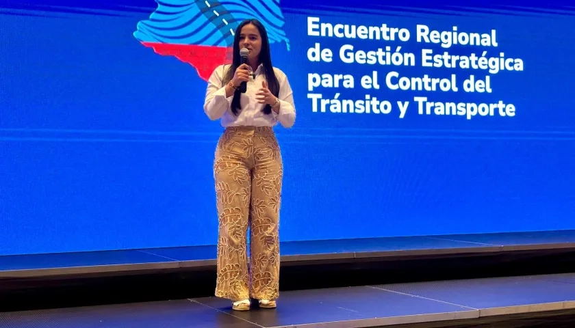 Mariantonia Tabares Pulgarín, directora general de la Agencia Nacional de Seguridad Vial.