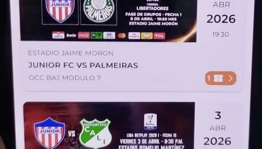 Boleta de aficionado abonado que no pudo ingresar al Romelio Martínez,