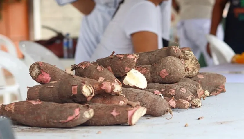 La yuca será protagonista. 