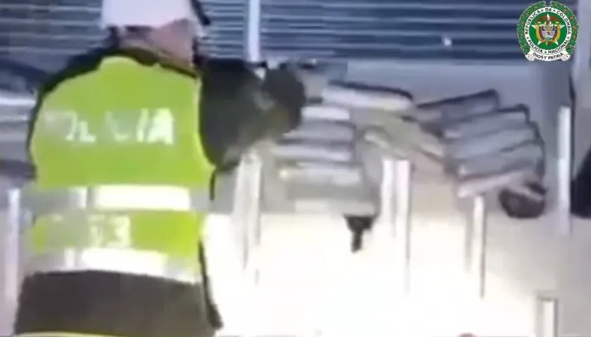 Incautación de la droga. 