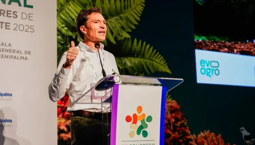 Nicolás Pérez Marulanda, presidente Ejecutivo de Fedepalma.