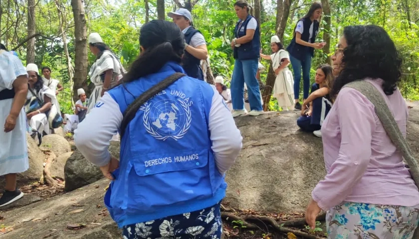 ONU Derechos Humanos.