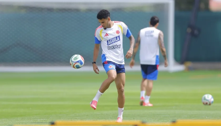 Luis Díaz, extremo de la Selección Colombia. 