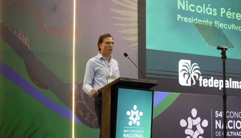 Nicolás Pérez Marulanda, presidente Ejecutivo de Fedepalma.