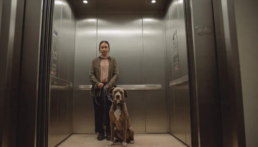 Una mujer con su perro de compañía en un ascensor de un conjunto residencial. 