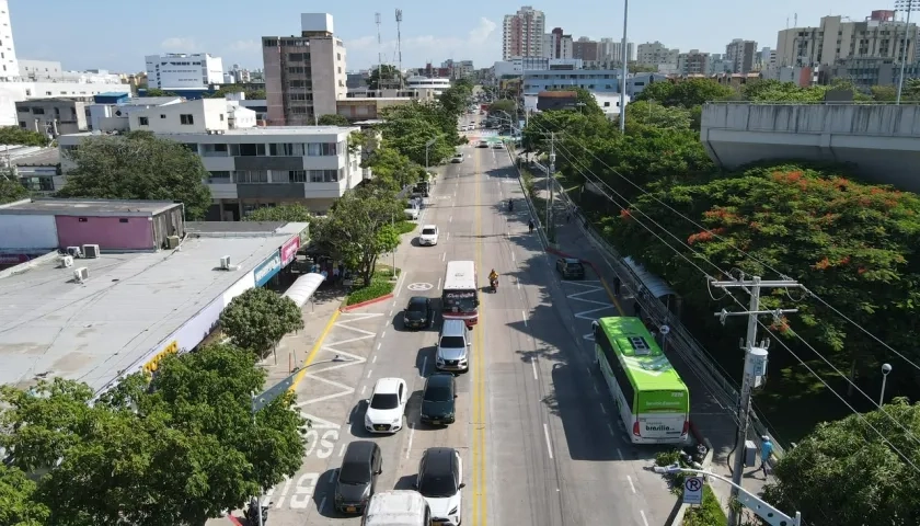 La siembra se realizó en la calle 72  entre las carreras 38 y 60.