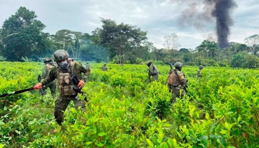 Ejército ecuatoriano destruyendo las plantas de coca. 