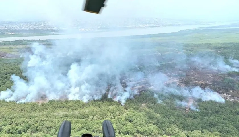 Uno de los tanto incendios ocurridos en el Parque Isla Salamanca. 