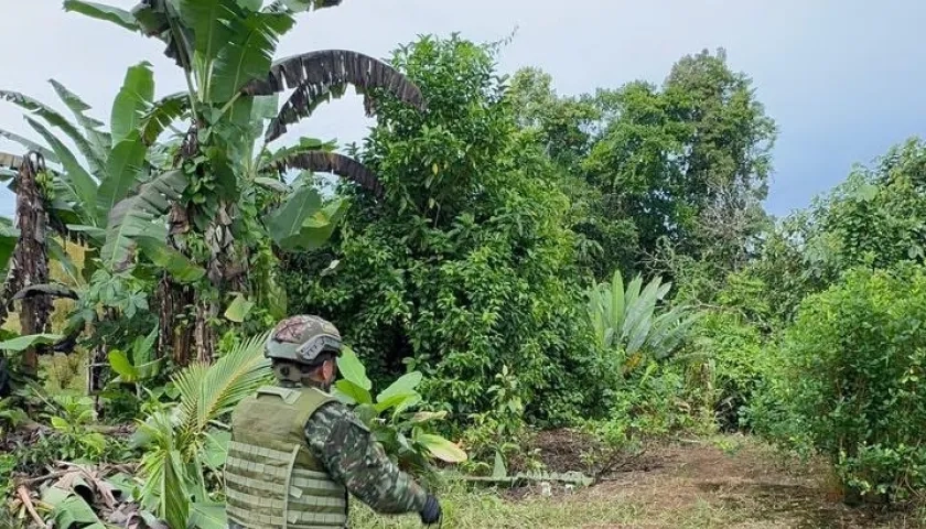Operativo del Ejército Nacional.