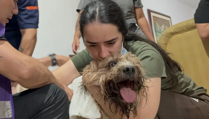 'Antonio' tenía lesiones en una de sus patas y varias raspaduras