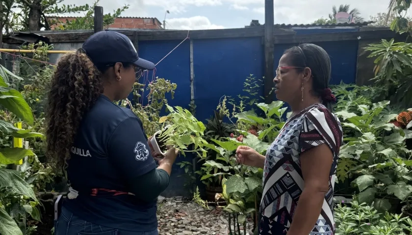 El abono será usado para que las plantas crezcan sanas. 