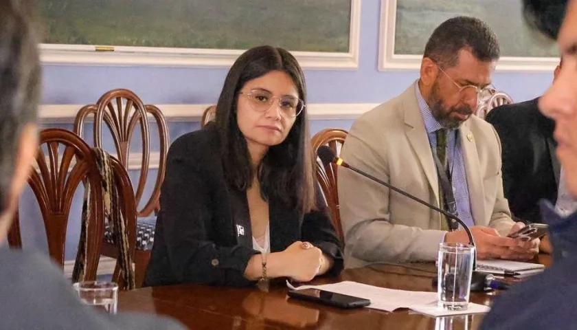 Angie Rodríguez fue directora del Fondo de Adaptación y de Dapre. 