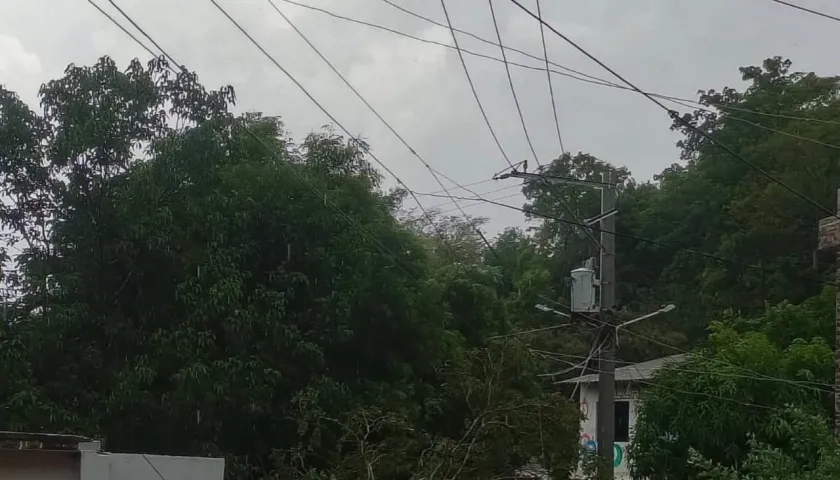 Árboles caídos en el corregimiento de Chorrera, en Juan de Acosta. 
