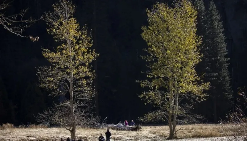 La norma no prevé aplicarse a los bosques nacionales de Colorado e Idaho.