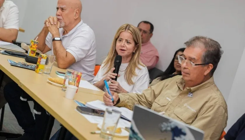 La Ministra de Transporte, Elsa Noguera.