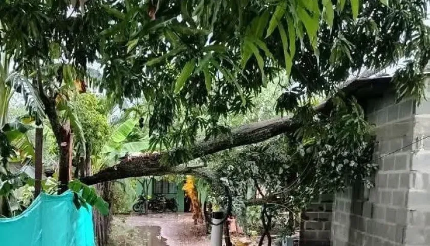 Vendaval en Juan de Acosta