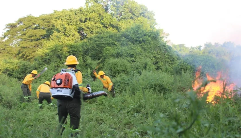 Organismos de socorro atienden emergencia por incendio forestal. 