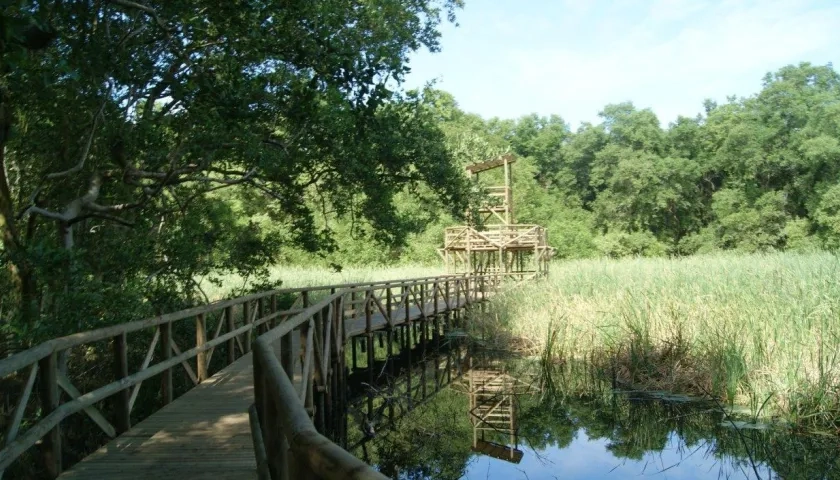 Vía Parque Isla Salamanca.