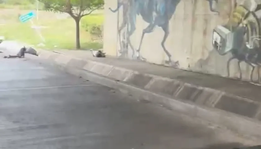 Los cuerpos fueron encontrados del 'Puente de La Virgencita'. 
