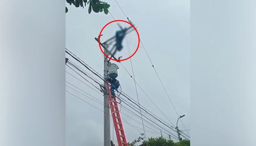 El operario cuando era auxiliado por sus compañeros. 