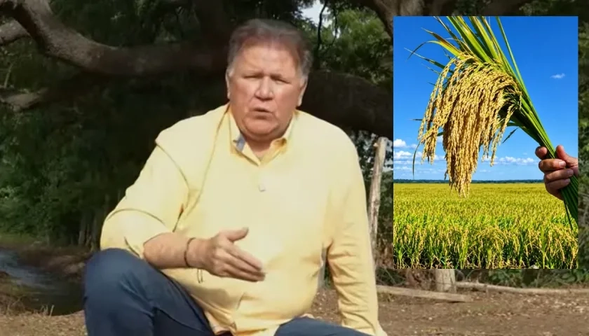 El Ministro de Agricultura, Indalecio Dangond, y un cultivo de arroz.