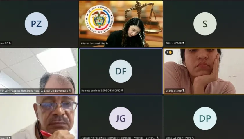 Julianis Altamar durante la audiencia virtual de este miércoles. 