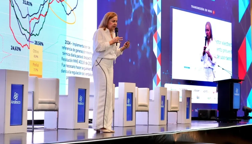 La Ministra de Minas y Energía, María Nohemí Arboleda.