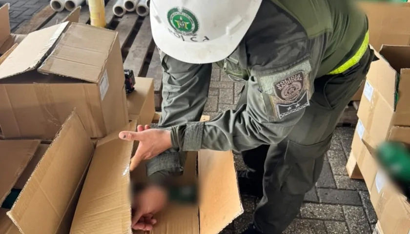 Momentos de la incautación de la cocaína.
