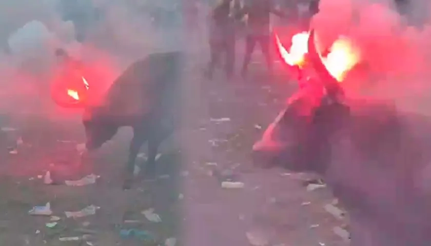 Toro con fuegos artificiales en los cuernos.