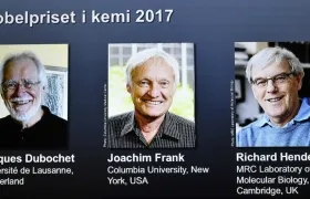 Tres investigadores de microscopía biomolecular ganan el Nobel de Química.