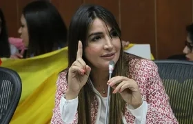 Senadora Nadia Blel Scaff presentó la ponencia de la iniciativa en la Comisión Séptima.