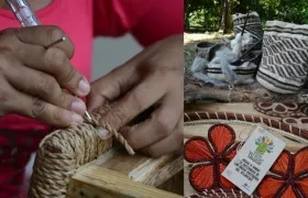  Los negocios verdes están creciendo cada día en el país.