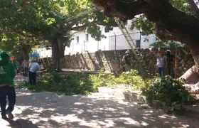 Grupo de trabajo en la recuperación de las bongas.
