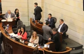 Plenaria del Senado durante la aprobación del presupuesto.