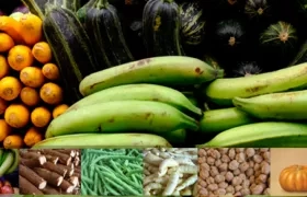  Bajaron las cotizaciones de las verduras, las frutas y los tubérculos en la última semana en Colombia.