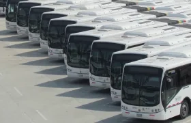 Buses articulados de Transmetro que circularán con mayor frecuencia los sábados.