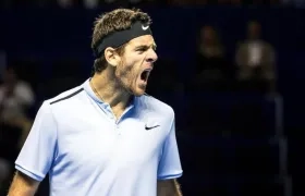 Juan Martín Del Potro.